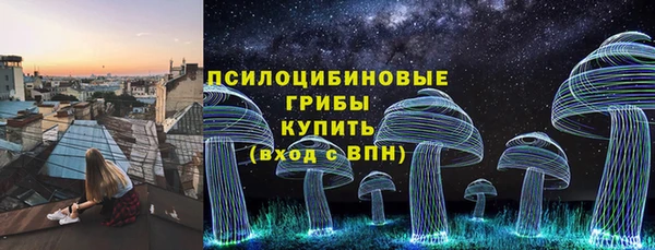 mdpv Гусев