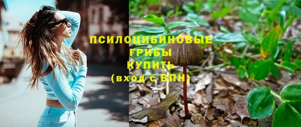 mdpv Гусев