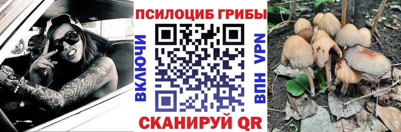 Псилоцибиновые грибы Cubensis  Шахунья 